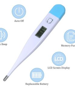 Alternative view of Digital Thermometer LCD